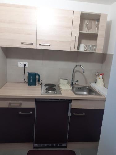 eine kleine Küche mit einer Spüle und einem Herd in der Unterkunft Apartments Stars in Velika Gorica