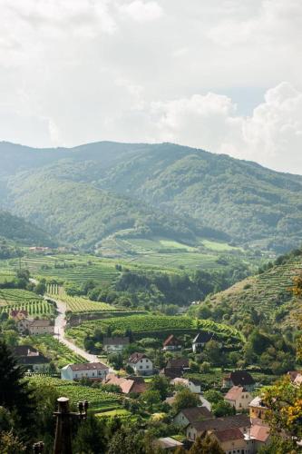 a view of a valley with green hills at Weingut Piewald in Gut am Steg