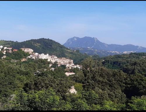 a town on top of a hill with trees at Le due Rive in Tufo
