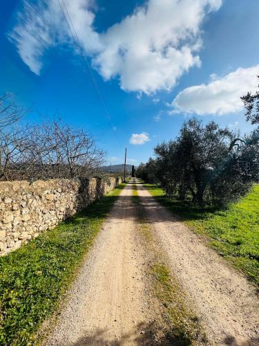a dirt road with trees and a stone wall at IL BORGHETTO di ANSEDONIA in Ansedónia