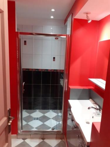 a bathroom with a shower and a red wall at Studio meublé 50m2 - Entrée indépendante in Demange-aux-Eaux