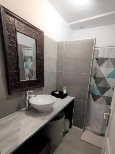 a bathroom with a sink and a mirror and a shower at Moissac - La coquille à deux pas de l'Abbaye in Moissac