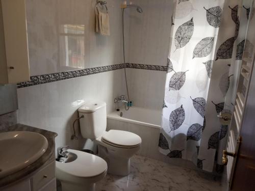 uma casa de banho com um WC e uma cortina de chuveiro em Apartamento Rural Casa Paco con Jacuzzi exterior y barbacoa em Aínsa