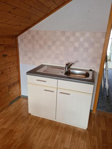 - une cuisine avec un évier et un comptoir dans l'établissement Ferienwohnung "Andrea", à Gundelsheim
