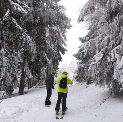 zwei Menschen auf Skiern im Schnee neben Bäumen in der Unterkunft Шале Карпатська Казка in Slawske