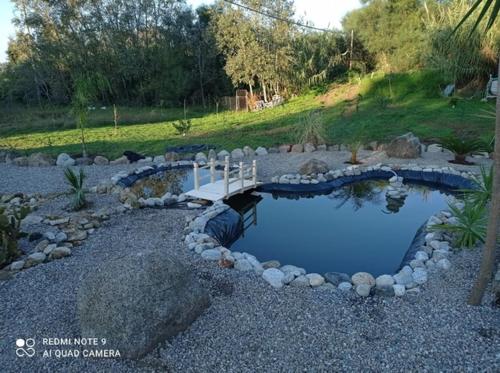a small pool of blue water in a garden at Al Passo di Thalia in Ricadi