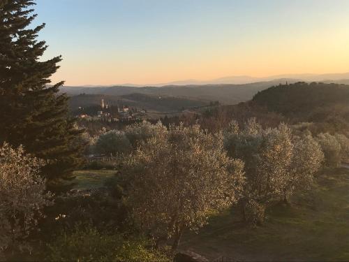 a group of trees with a castle in the distance at Il Fiorino di Badia in Badia A Passignano