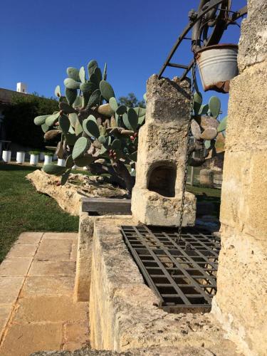 Φωτογραφία από το άλμπουμ του Masseria L'Antico Frantoio σε Gallipoli