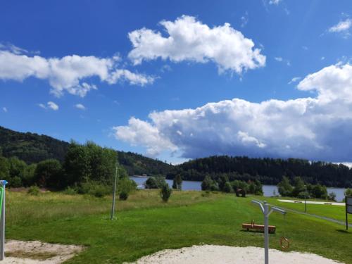 a park with a bench and a view of a lake at Apartament nad Bukówką in Lubawka