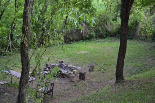 a fire pit in the middle of a park with trees at VÁR-CAMPING in Sirok