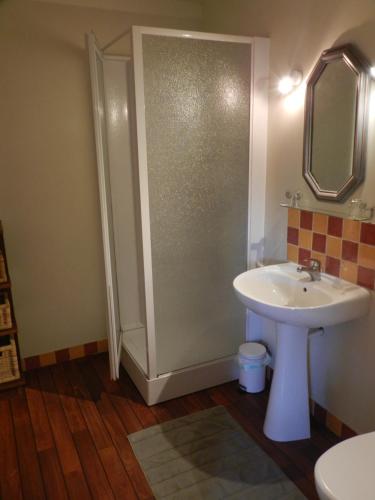 een badkamer met een wastafel en een douche met een spiegel bij La Ferme Montplaisir in Montesquieu-Volvestre