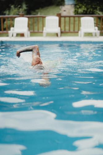 a dolphin in the water in a swimming pool at Diver Village Ilhabela in Ilhabela
