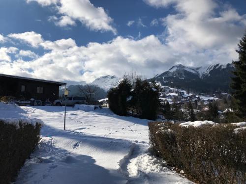 a snow covered yard with mountains in the background at L'Onyx - Domaine de Nant Cruy in Sallanches