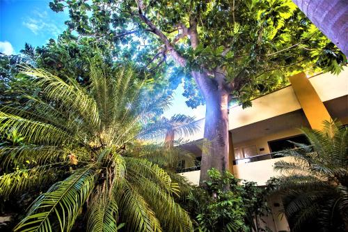 a group of palm trees in front of a building at Hotel Plaza Mirador in Mérida