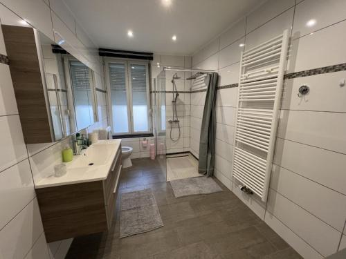 uma casa de banho com um lavatório, um chuveiro e um WC. em city-pillow rooms em Luxemburgo