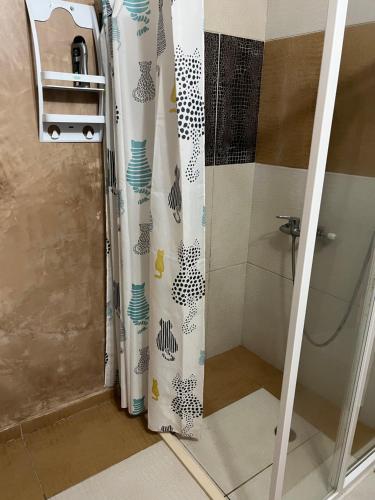 een douche met een douchegordijn in de badkamer bij Centrally Located Private Rooms in Heraklion