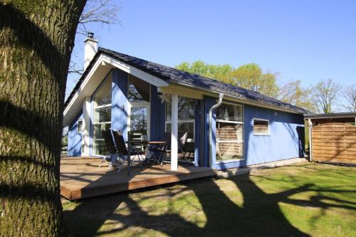 a blue cottage with a table and chairs on a deck at Ferienhaus Seeadler mit Sauna am Dümmer See in Dümmer
