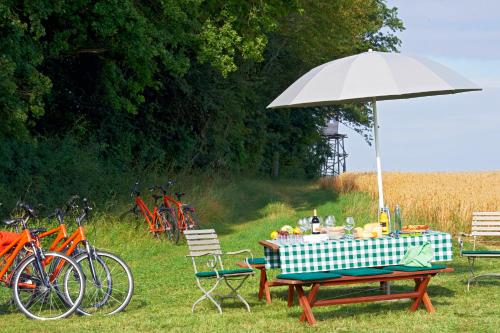a picnic table with an umbrella and bikes in a field at Lösch für Freunde in Hornbach