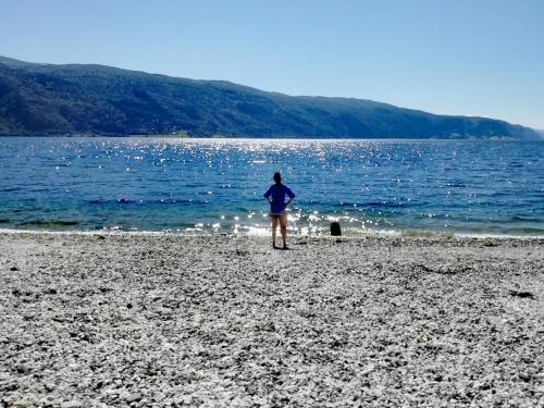 a person standing on a beach near the water at Surnadal Camping Brekkøya in Surnadal