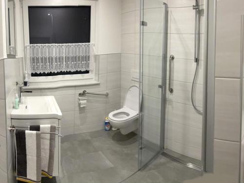 a bathroom with a shower and a toilet and a sink at FERIENWOHNUNG BAD DRIBURG in Bad Driburg