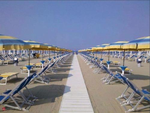 a row of chairs and umbrellas on a beach at LA CONCHIGLIA A MARINA in Marina di Carrara