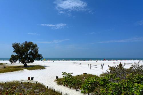 a beach with a tree and white sand and the ocean at Canal 313 - Right in Siesta Key Village! in Siesta Key