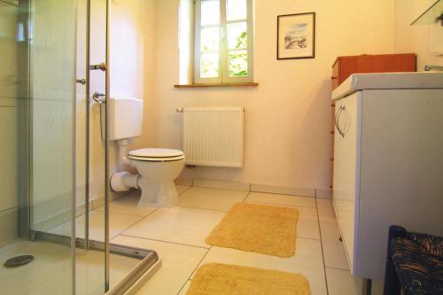 a bathroom with a toilet and a glass shower at Apartment, Plau am See in Plau am See