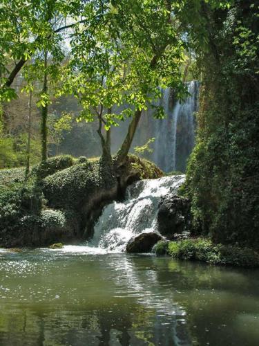 a waterfall in front of a river with trees at Suite Rural Carenas in Carenas