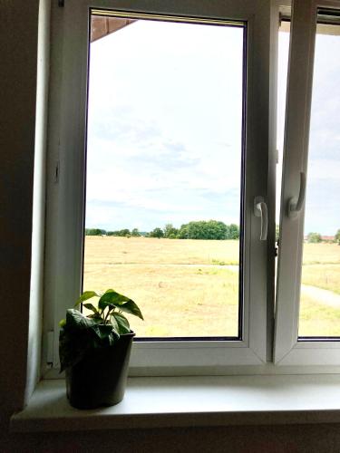 a plant sitting on a window sill looking out at a field at Apartament z Jaskółką piętro- duży 90 m2 plus taras in Smołdzino