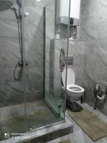 a bathroom with a toilet and a glass shower at Large Green Apartment in Oral