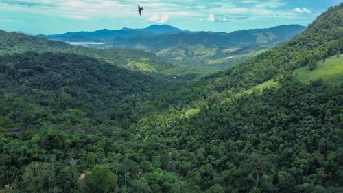 un pájaro volando sobre un exuberante valle verde en Chales Sol Paraty, en Paraty