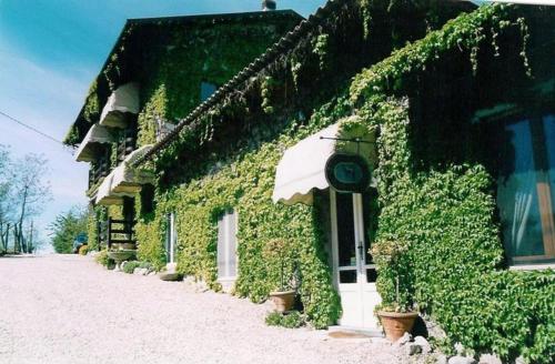 a building covered in ivy next to a street at premiata osteria dei fiori in Cortiglione