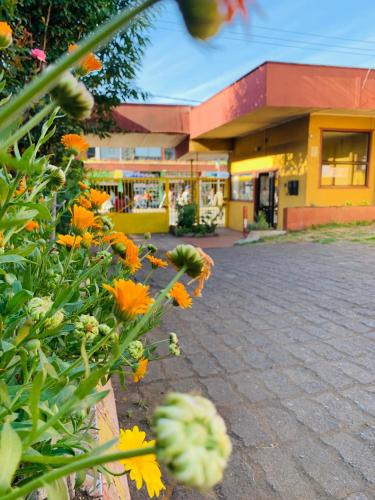 a building with a bunch of flowers in front of it at Hospedaje in Osorno