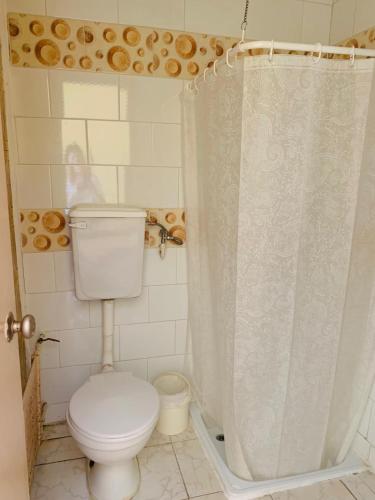 y baño con aseo y cortina de ducha. en Hospedaje en Osorno