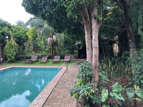 a swimming pool with chairs next to a tree at Karibu Heritage House in Arusha