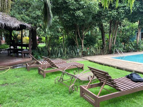 a group of benches sitting in the grass near a swimming pool at Karibu Heritage House in Arusha