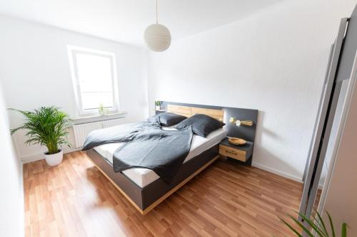 a bedroom with a bed and a potted plant at Ferienwohnung Martin 3 und 4 in Bad Harzburg
