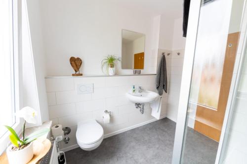 a bathroom with a toilet and a sink at Ferienwohnung Martin 3 und 4 in Bad Harzburg