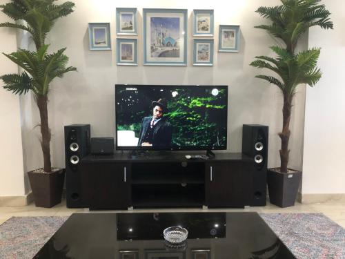 una televisione in un soggiorno con due palme di Santorini Seafront Stay ad Alessandria d'Egitto