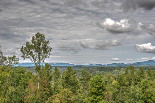 a tree in the middle of the forest with a cloudy sky at Serenity Peak in Blue Ridge