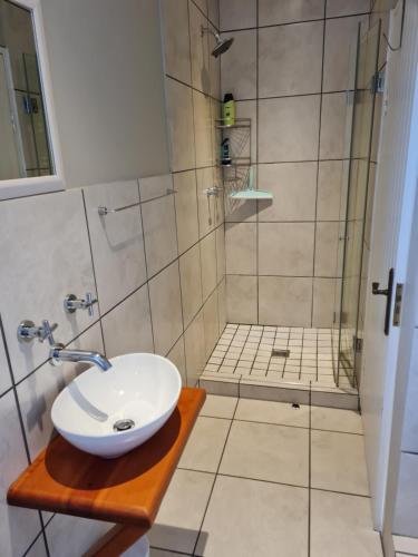 a bathroom with a sink and a shower at Oregon Apartment Cape Town in Cape Town