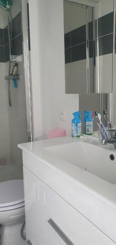 une salle de bain avec un lavabo, des toilettes et un miroir dans l'établissement Appartement avec terrasse proche plages et sentiers de randonnée, à Perros-Guirec