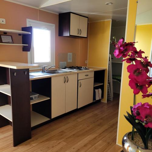 a kitchen with a sink and a stove top oven at Camping maeva Escapades Le Domaine Aramis in Marsan