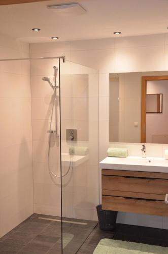 a bathroom with a shower and a sink at Apart Anna in Pfunds