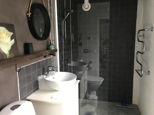 a bathroom with a toilet and a sink and a shower at Stallet på Skårby in Ystad