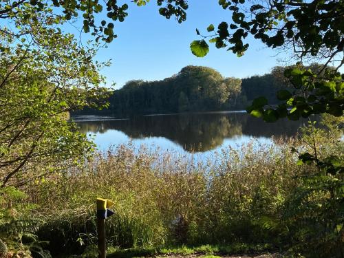 a view of a lake with trees in the background at Stallet på Skårby in Ystad