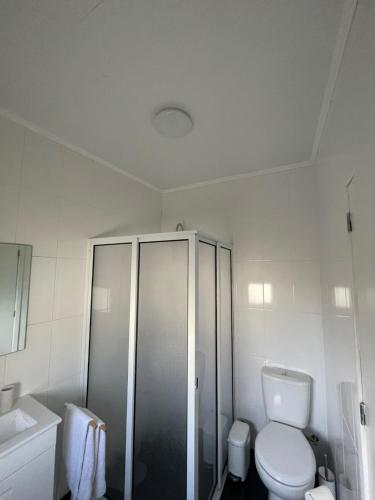 a white bathroom with a toilet and a shower at Arco´s Apartment 1 in Ponta Delgada