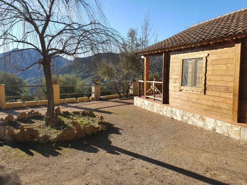 una cabaña de madera con un árbol delante en Cabanas El Nogueral, en Gontar