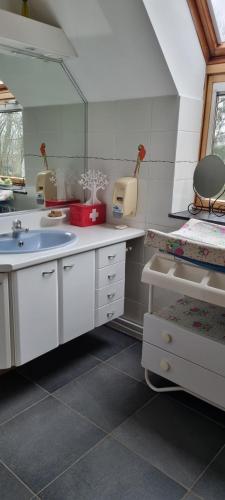 Dapur atau dapur kecil di Gite des étangs de Saint Bale