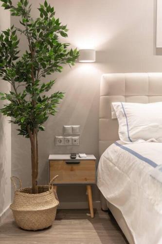 A11 Pristine & comfy studio near Plaka & Parthenon